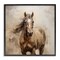 Stupell Industries Horse with Modern Drip Framed Giclee Wall Art Design by PI Creative Art